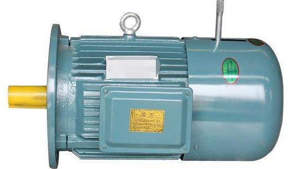 電機(jī)震動(dòng)肚子減肥真的有效嗎？