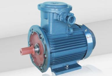 2003粗軸電機，了解2003粗軸電機的特點和應用