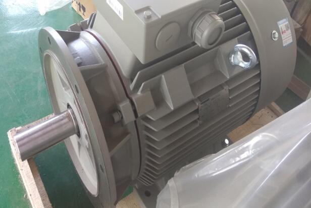 電摩電機(jī)型號有哪些，電摩電機(jī)型號詳解