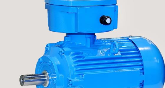 電機(jī)銘牌上怎么看防爆等級(jí)？防爆等級(jí)怎么認(rèn)？